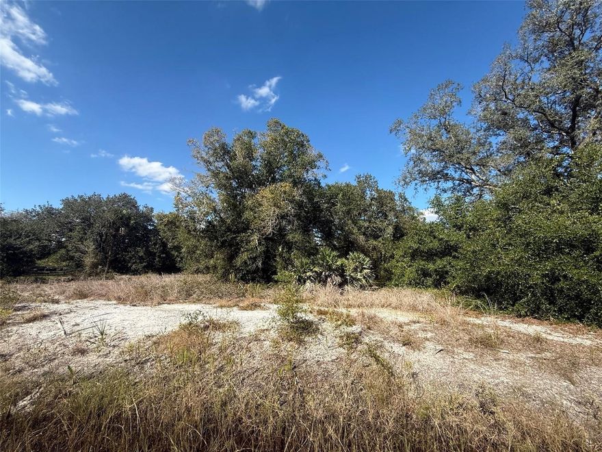Rare opportunity to own 1.25 acres of vacant land in the peaceful Okeechobee countryside. Build or bring your dream home on this spacious lot, with plenty of room for a yard, garden, or outdoor recreation. Power nearby on the road, and convenient road access. Enjoy the privacy and tranquility of rural living while still being a short drive from local amenities, shopping, and recreation. Perfect for a full-time residence, weekend getaway, or investment property.