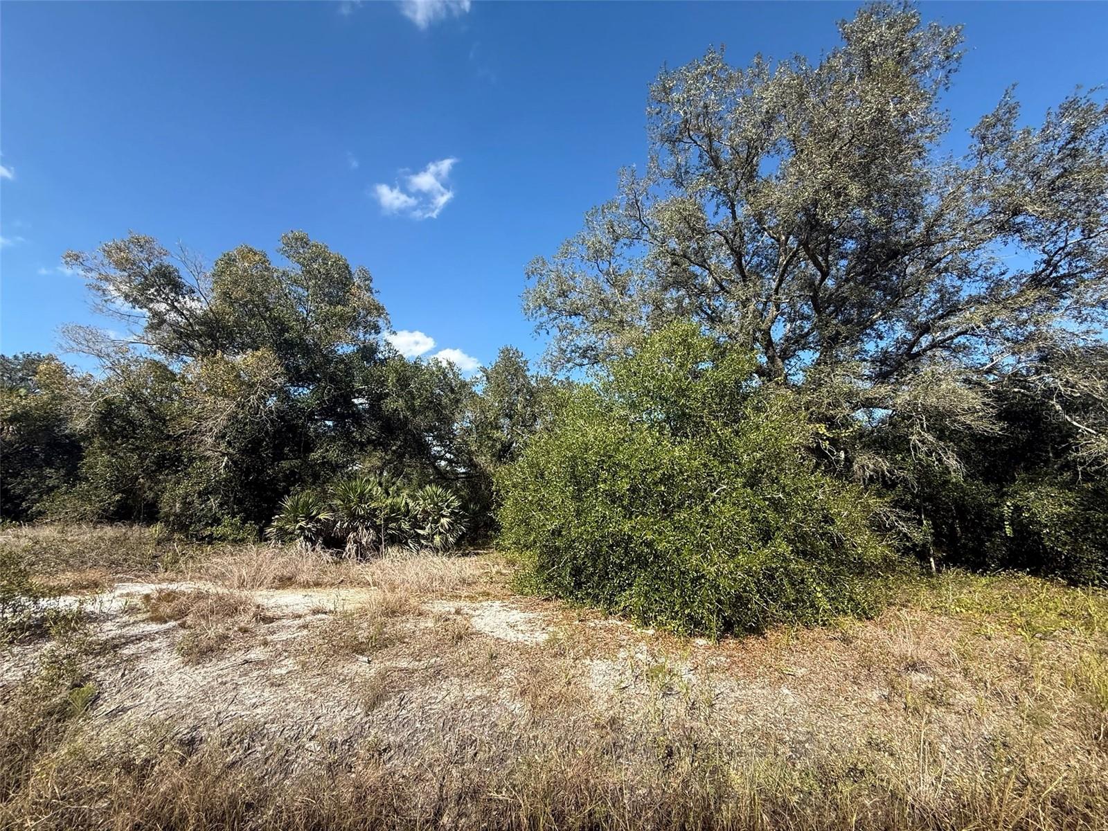 SOUTHERN COLONIZATION CO - Land