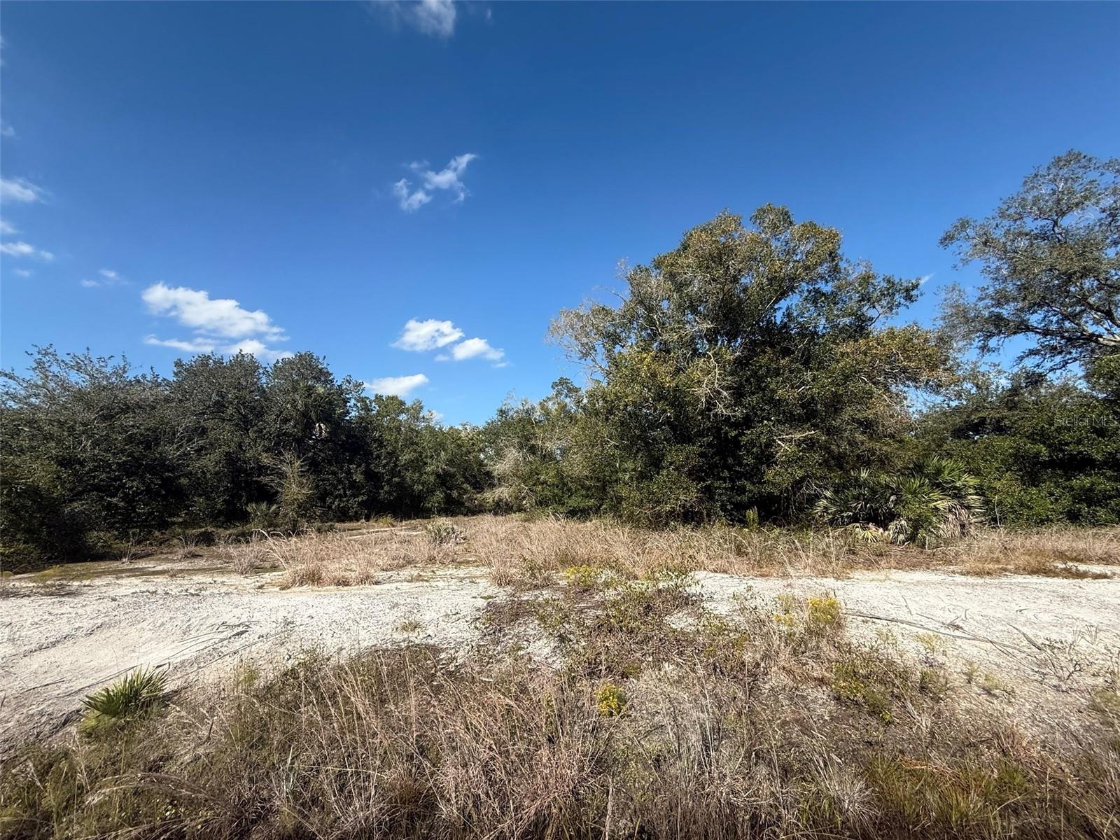 SOUTHERN COLONIZATION CO - Land