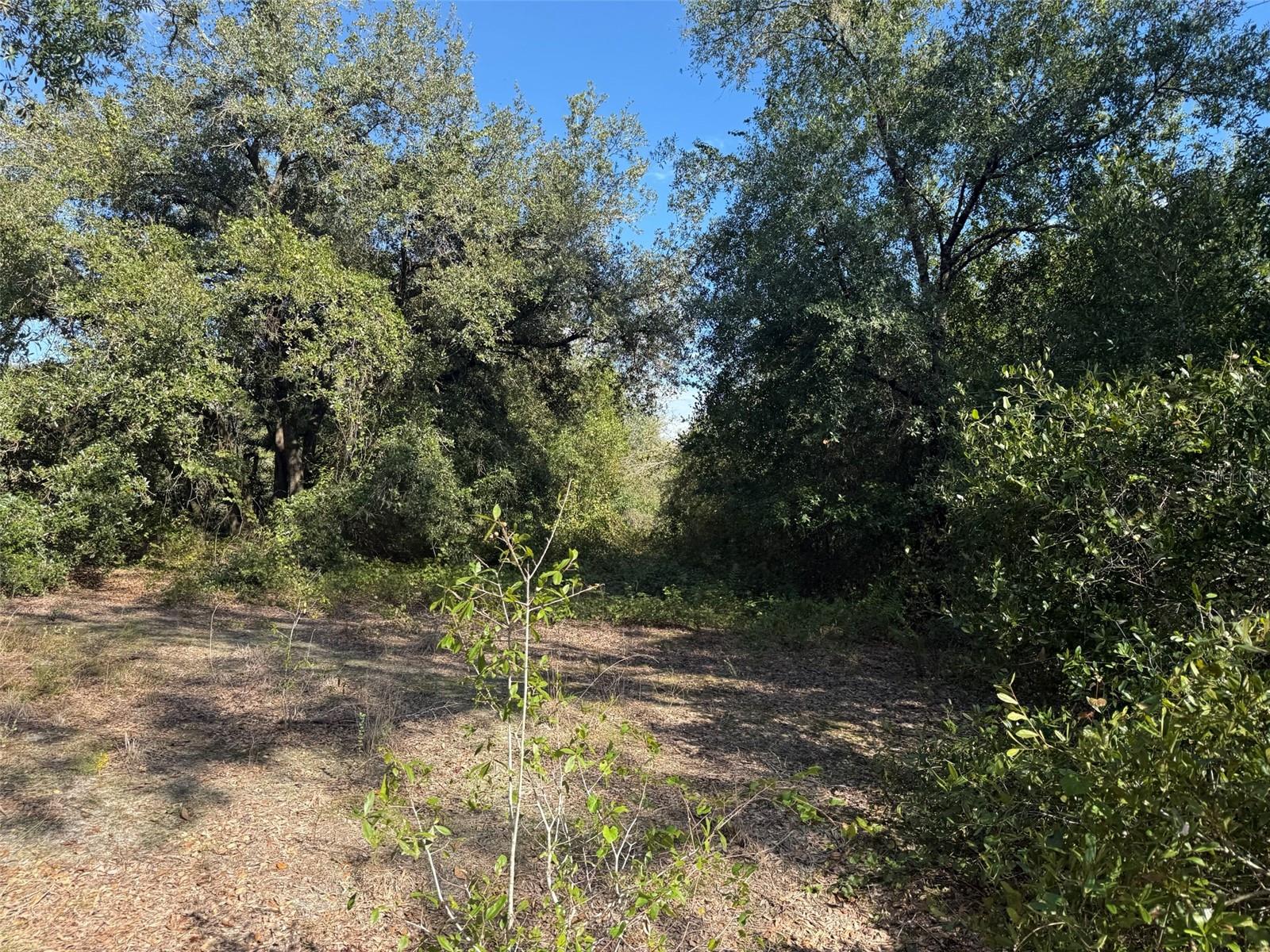 SOUTHERN COLONIZATION CO - Land