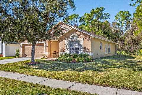 Photo of 12705 Westwood Lakes Boulevard, Tampa, FL 33626 (MLS # TB8466804)