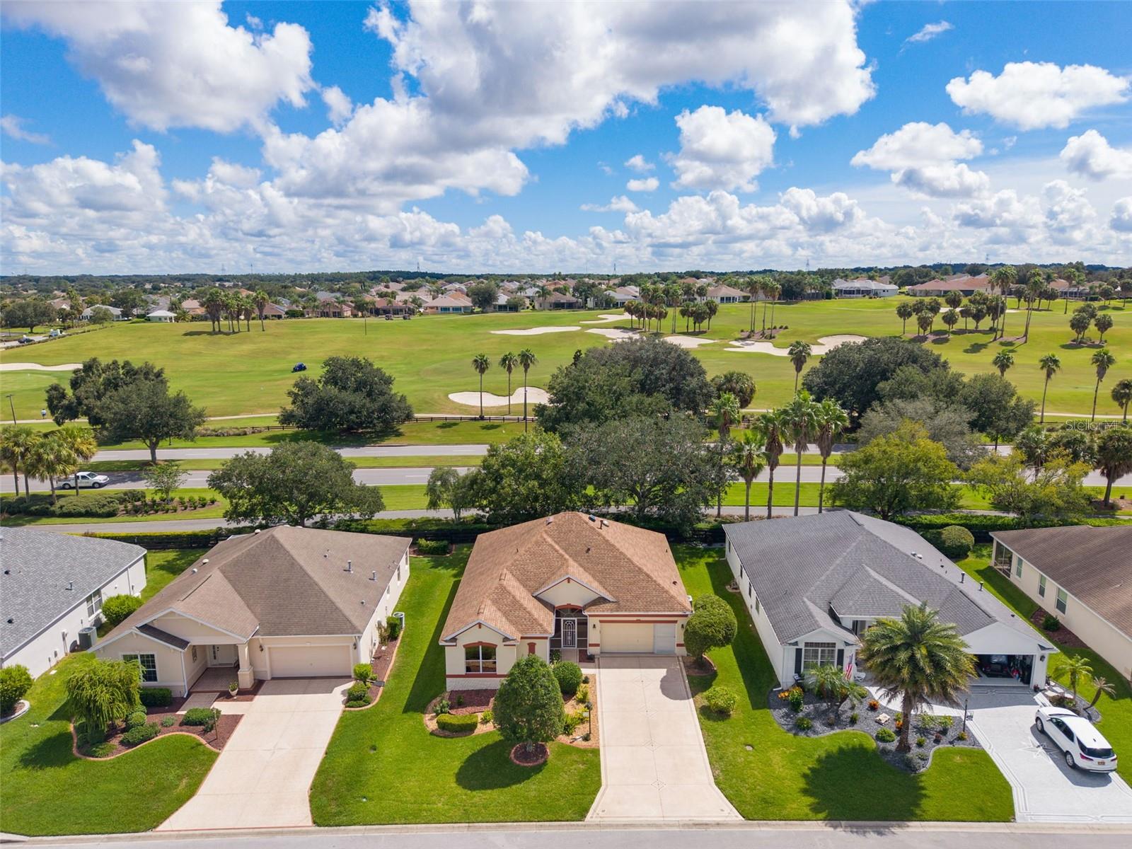 1654 DUFFY LOOP
