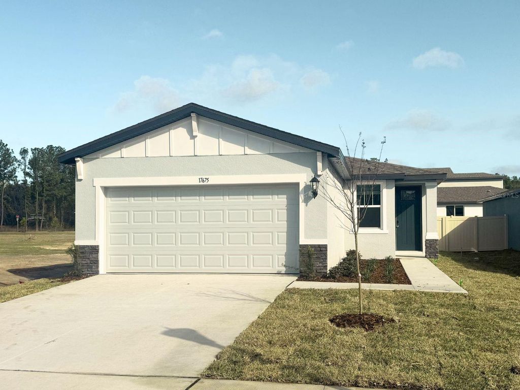 Photo of 17675 Olive Thorn Drive, Brooksville, FL 34601 (MLS # TB8476052)