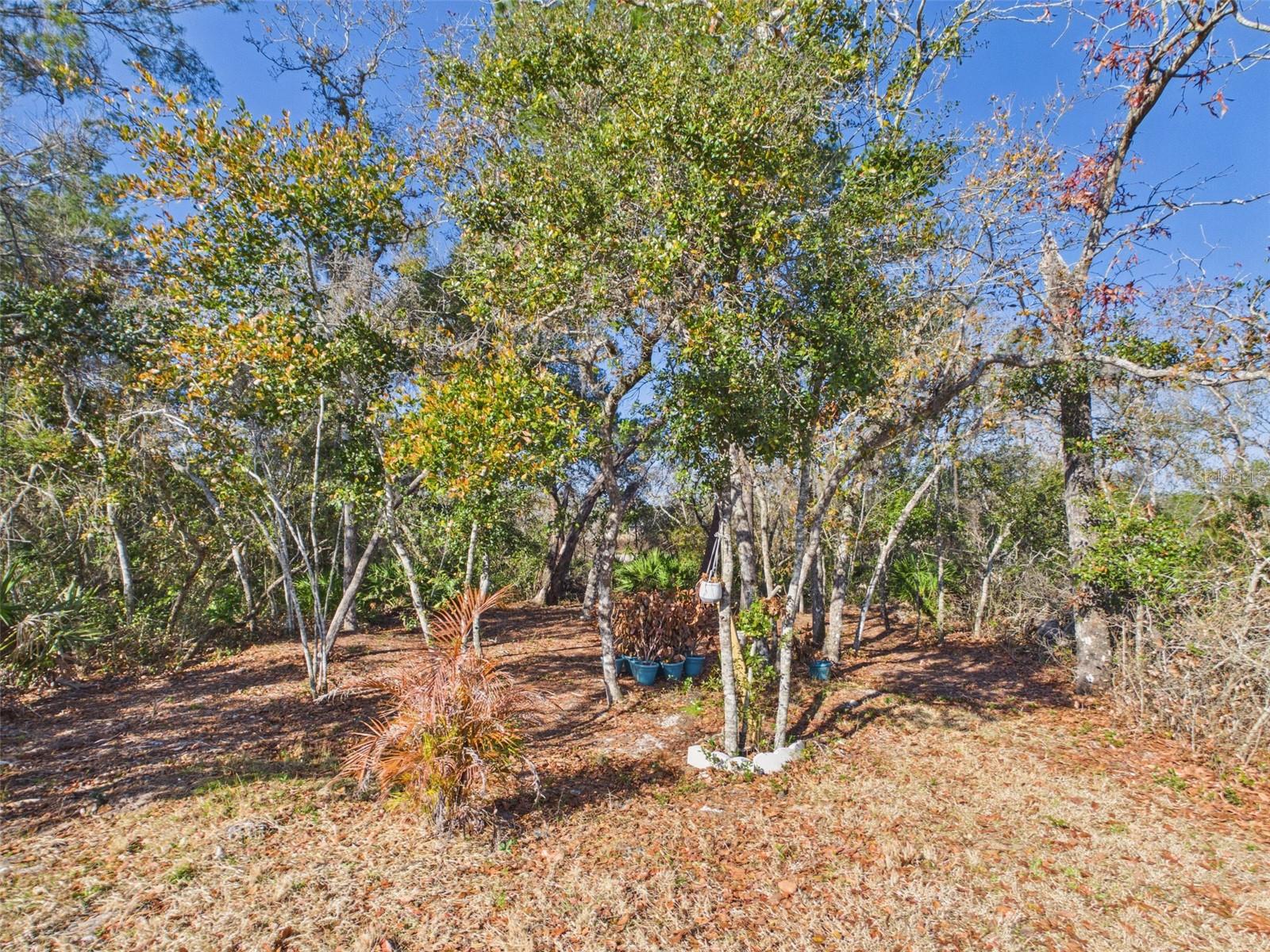 VINELAND RESERVE PH 3 - Residential