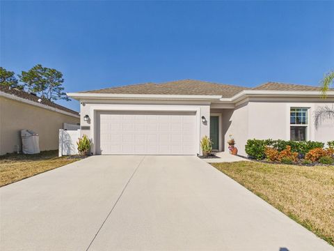 1360 PEACH CREEK DRIVE OSTEEN FL 32764