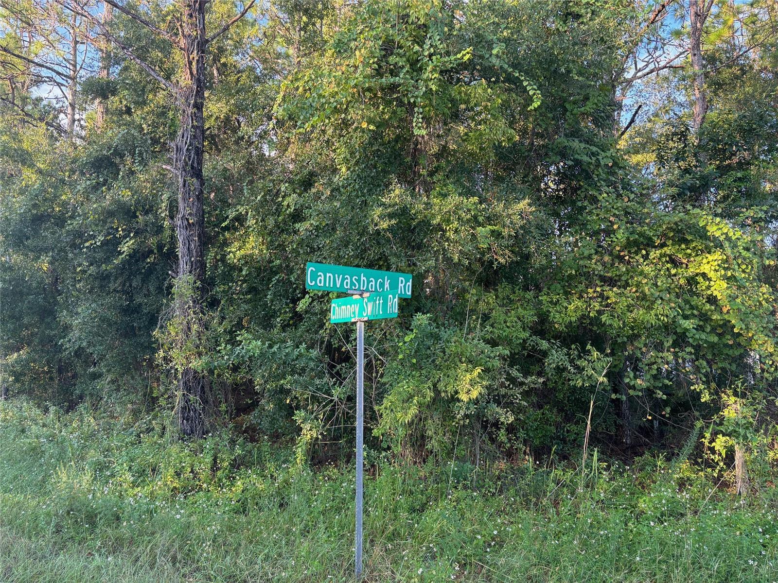 ROYAL HIGHLANDS - Land