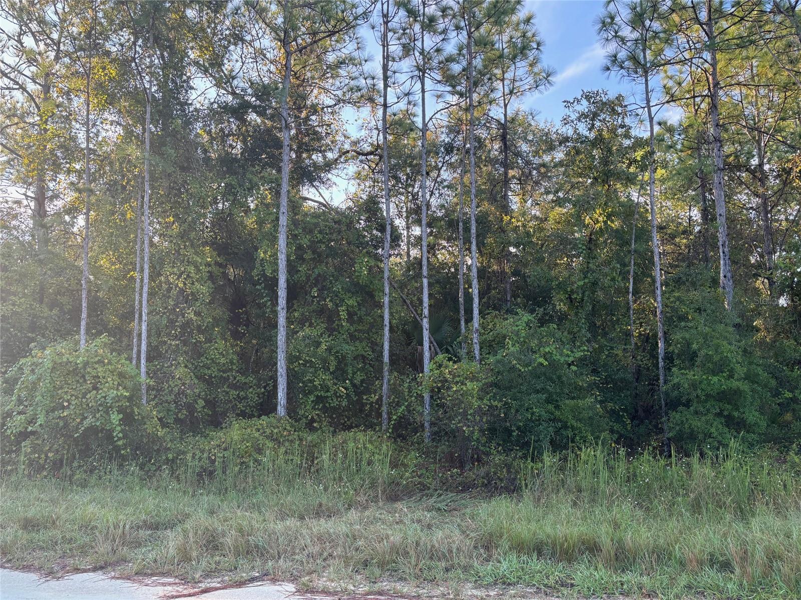 ROYAL HIGHLANDS - Land