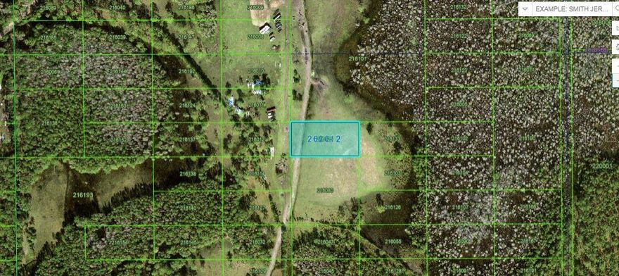 Vacant  land for sale in Davenport, Florida! This 1.23-acre lot offers ample space to build your dream spot or invest in a growing area. Enjoy the potential and flexibility this prime property provides in a peaceful, desirable location. Pin Location: Latitude 28.23618761 , Longitude -81.66904059