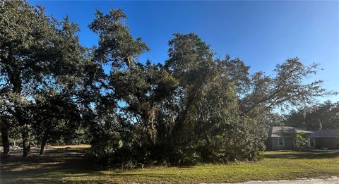 Photo of 34429 Manuel Street, Webster, FL 33597 (MLS # W7880229) Photo of 34429 Manuel Street, Webster, FL 33597 (MLS # W7880229)