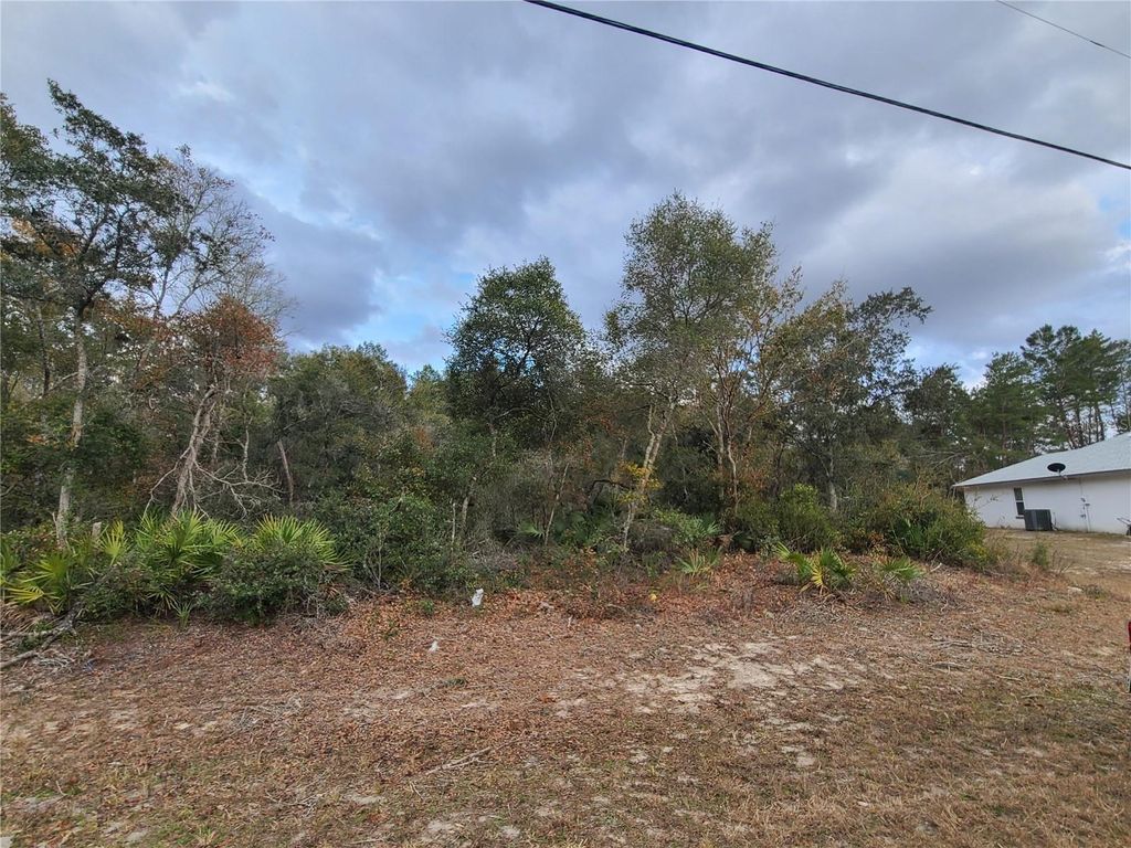 Photo of 00 SW 35th Circle, Ocala, FL 34473 (MLS # OM694261)