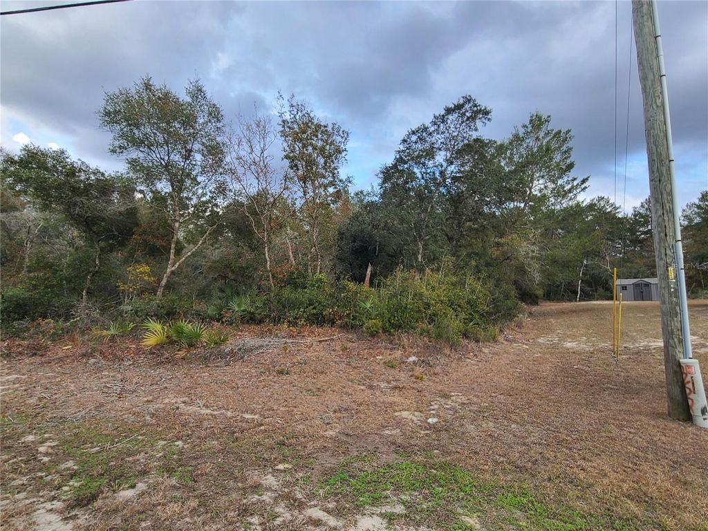 Photo of 00 SW 35th Circle, Ocala, FL 34473 (MLS # OM694261)