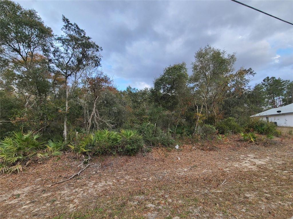 Photo of 00 SW 35th Circle, Ocala, FL 34473 (MLS # OM694261)
