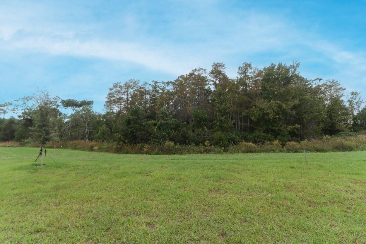 STEPPING STONE - Residential