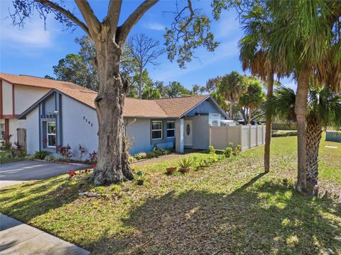 Photo of 5142 Springwood Drive, Tampa, FL 33624 (MLS # TB8465667)