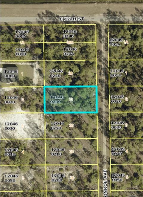 1121 MONROE AVENUE LEHIGH ACRES FL 33972