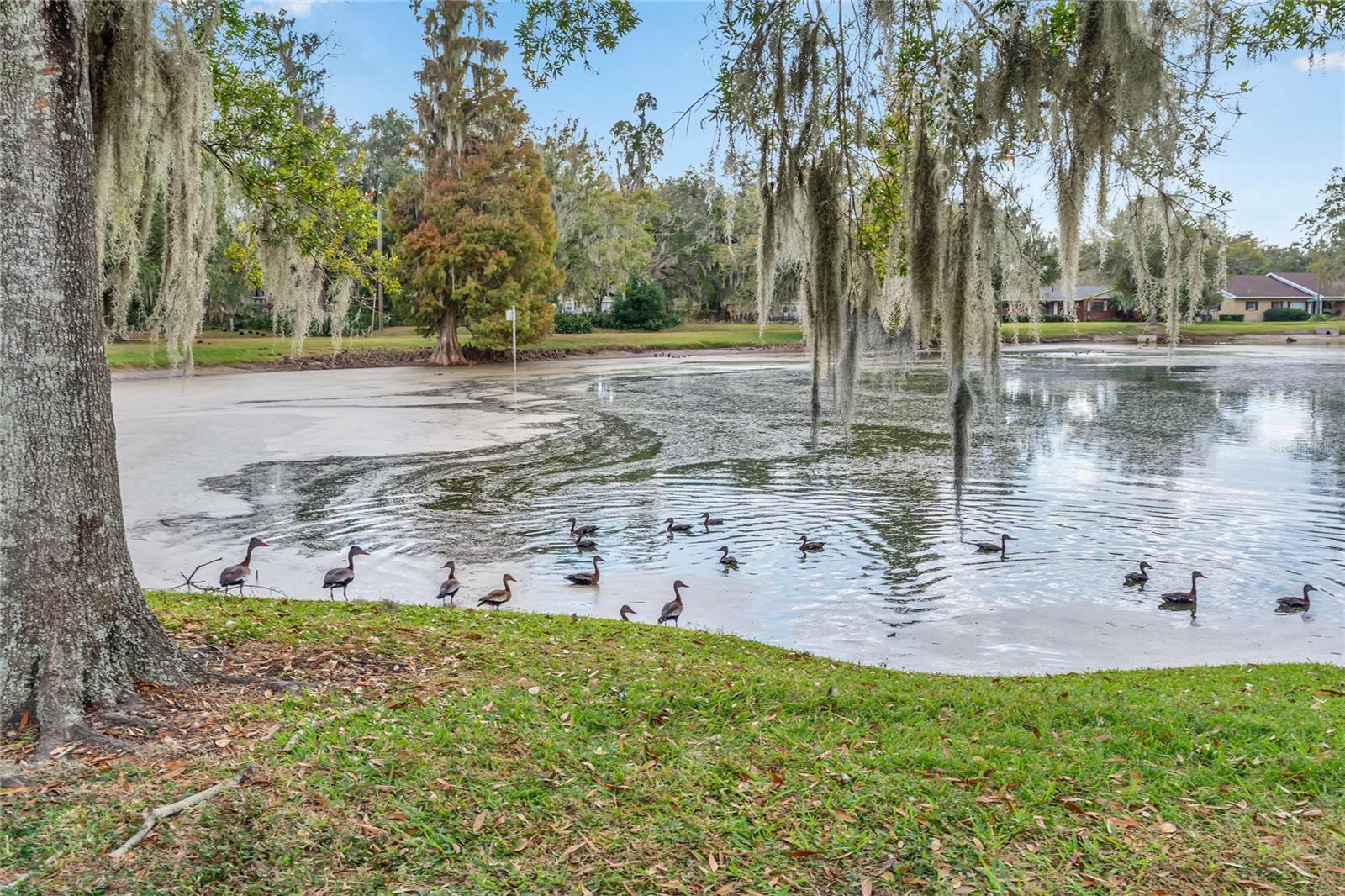 LA SERENA - Residential