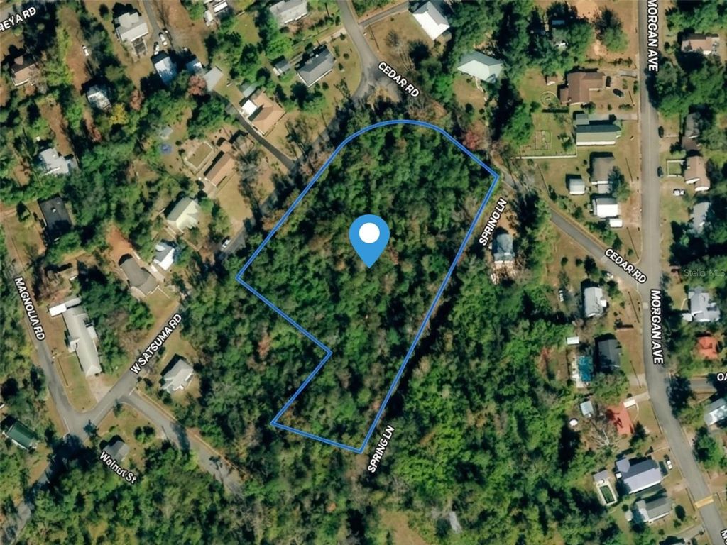 Photo of Satsuma Rd, Chattahoochee, FL 32324 (MLS # S5151233)