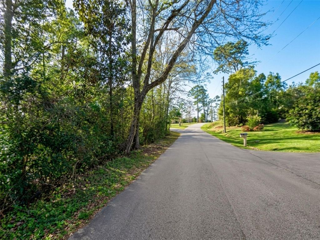 Photo of Satsuma Rd, Chattahoochee, FL 32324 (MLS # S5151233)
