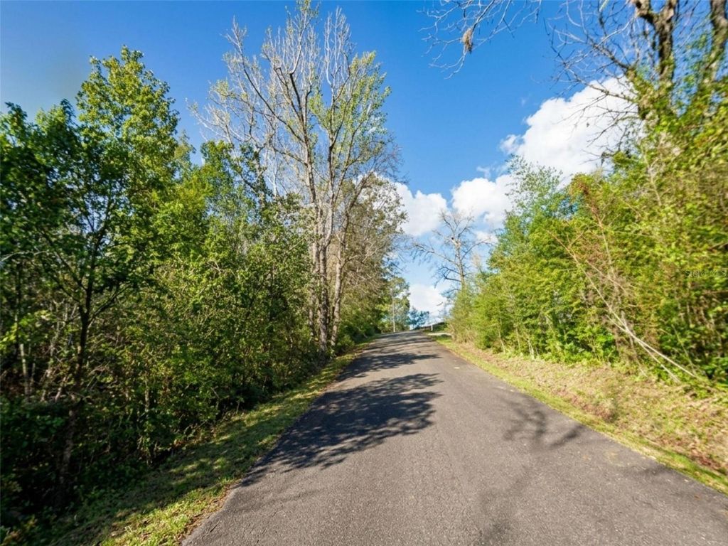 Photo of Satsuma Rd, Chattahoochee, FL 32324 (MLS # S5151233)