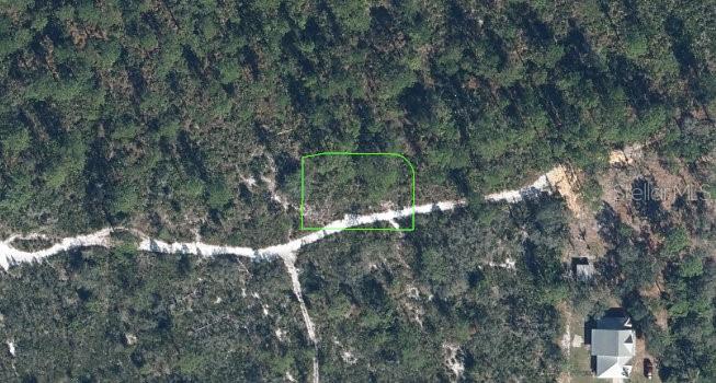 ORANGE BLOSSOM CCC - Land