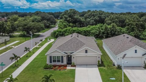 A home in WIMAUMA