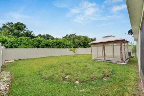 A home in WIMAUMA