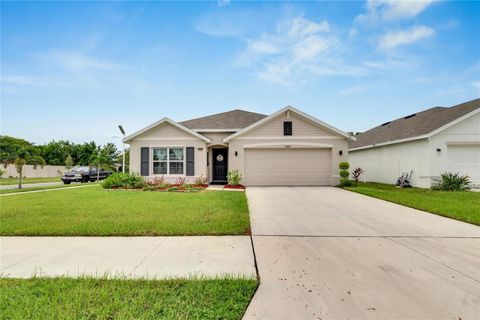 A home in WIMAUMA