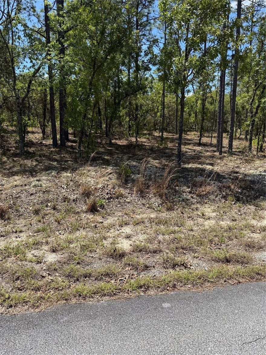 Ready to build lot near the Rainbow River Springs on paved road!! .99 of an acre lot, no flood zone and zoned R-1.