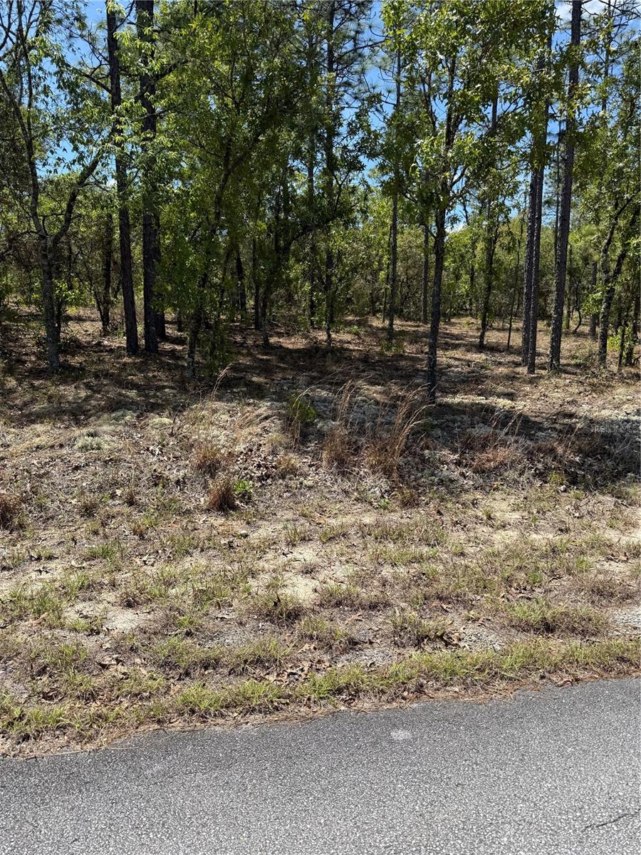 Photo of 8 SW Mineola Lane, Dunnellon, FL 34431 (MLS # O6398888)
