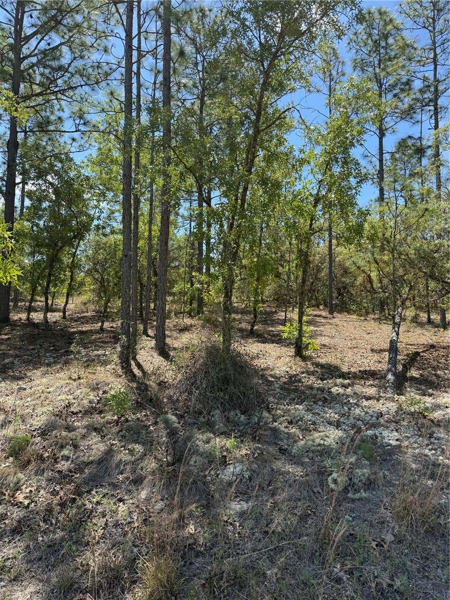 Photo of 8 SW Mineola Lane, Dunnellon, FL 34431 (MLS # O6398888)