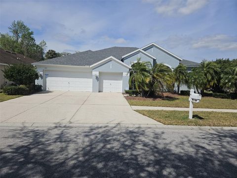 A home in WESLEY CHAPEL