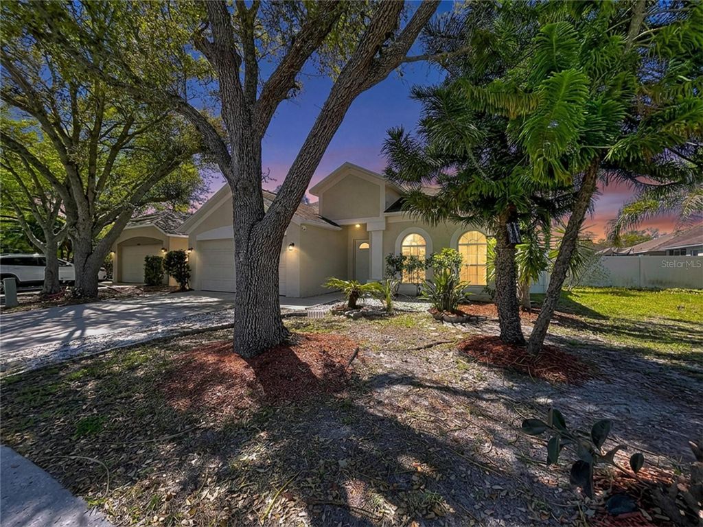 Photo of 10310 Birdwatch Drive, Tampa, FL 33647 (MLS # TB8488417)