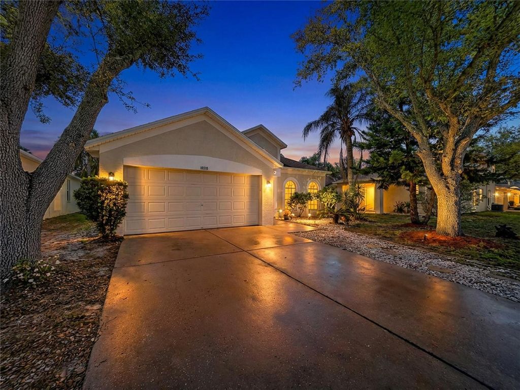Photo of 10310 Birdwatch Drive, Tampa, FL 33647 (MLS # TB8488417)