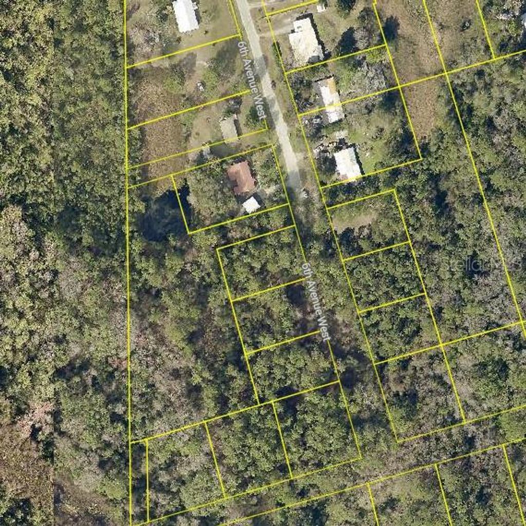 Photo of W 6th Avenue, Pierson, FL 32180 (MLS # O6352188)