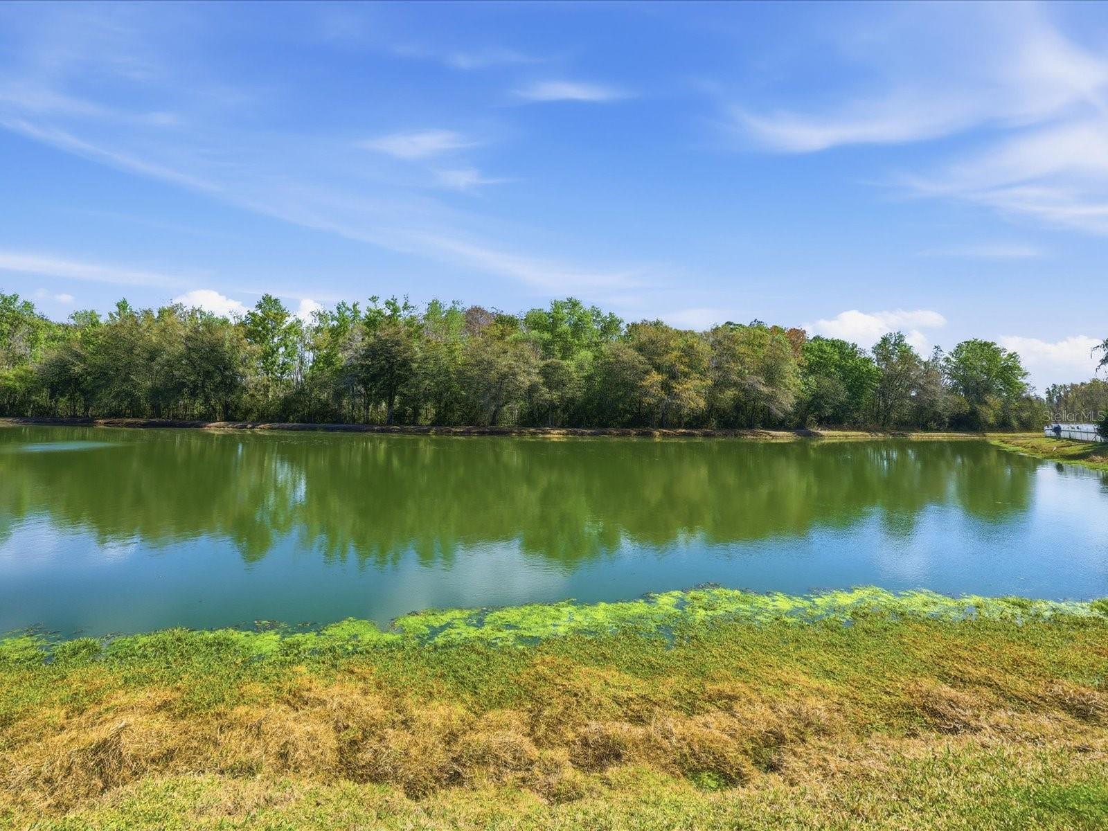 STAGECOACH VILLAGE 07 PH 02 - Residential