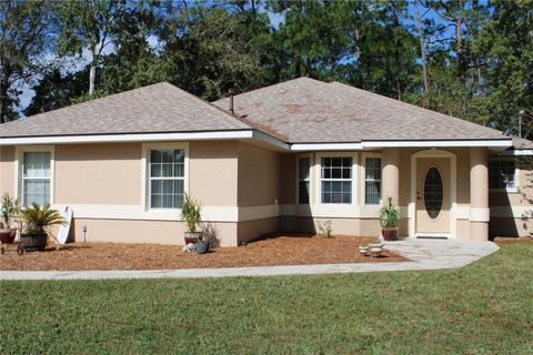 A home in PALM COAST