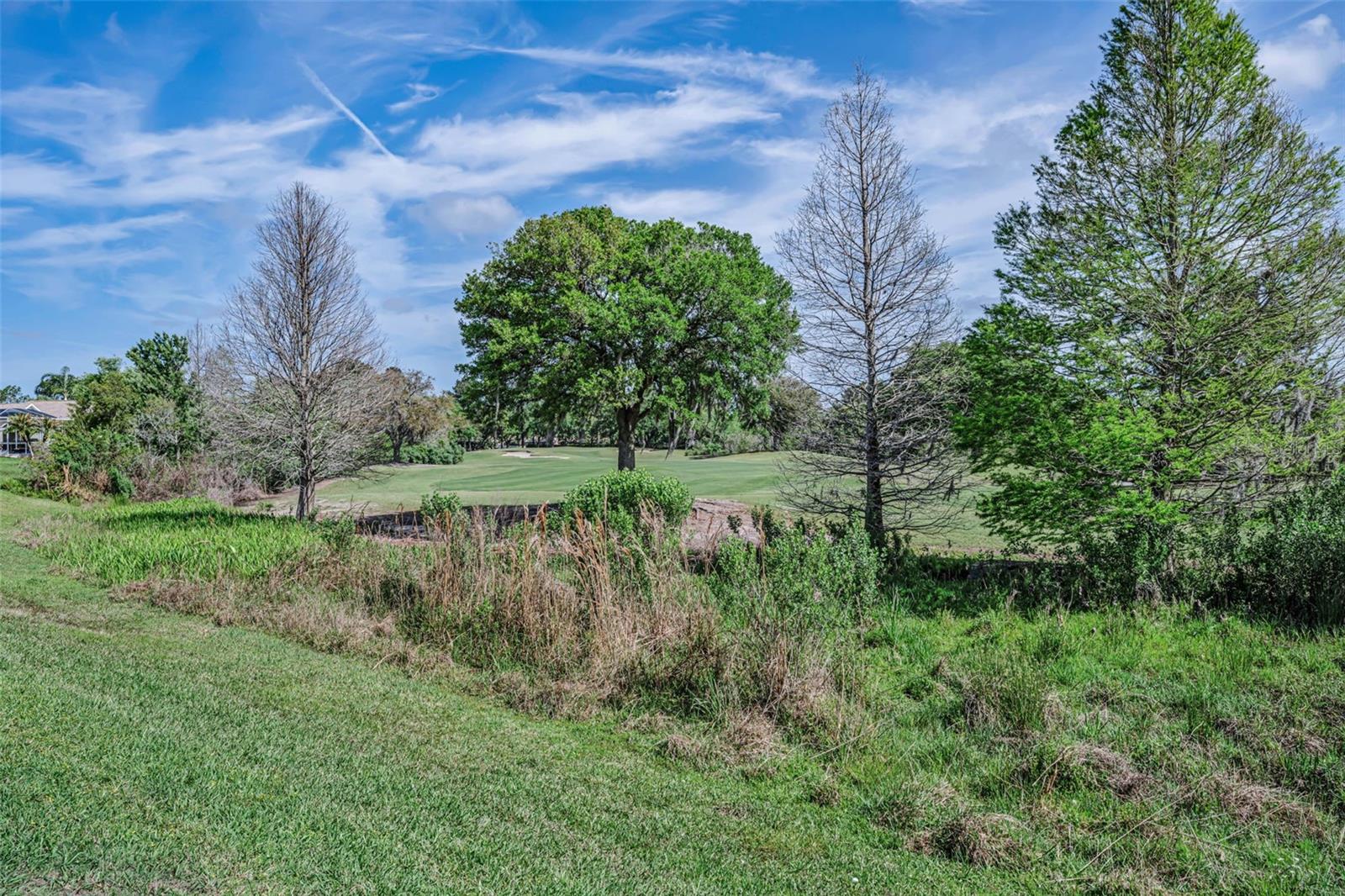 PLANTATION PALMS PH 02A - Residential