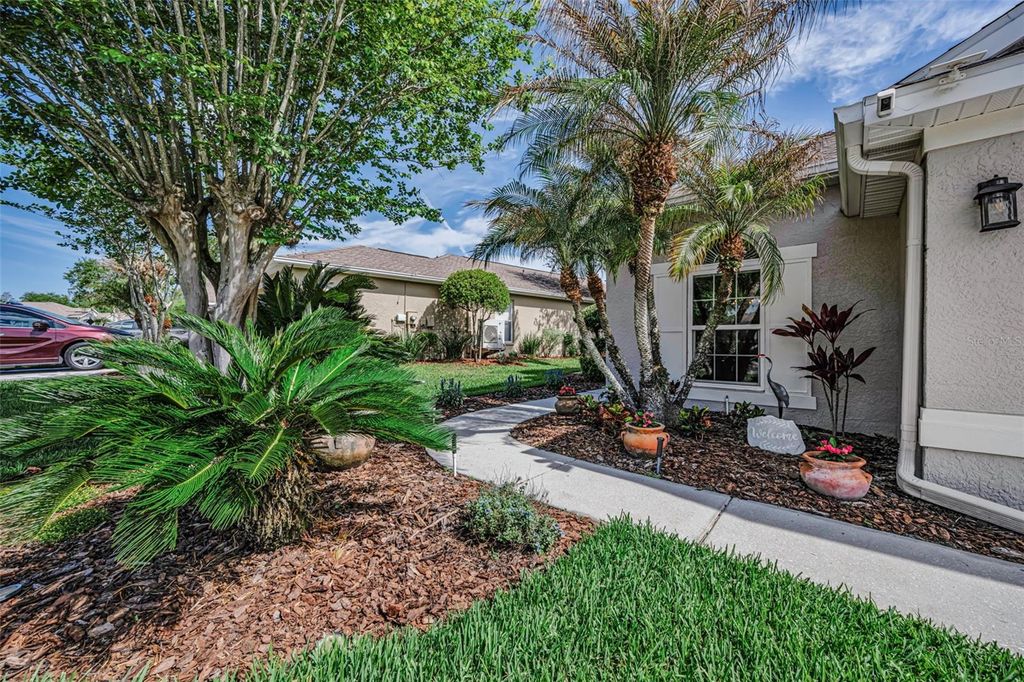 Photo of 3054 Banyan Hill Lane, Land O Lakes, FL 34639 (MLS # TB8495797)