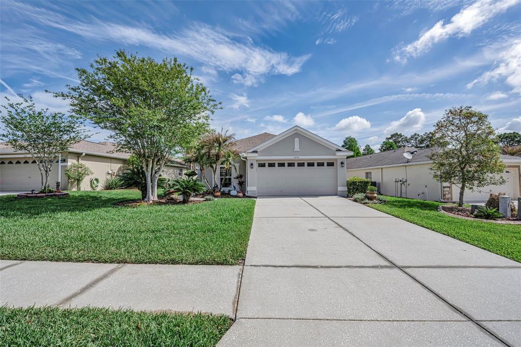 Photo of 3054 Banyan Hill Lane, Land O Lakes, FL 34639 (MLS # TB8495797)