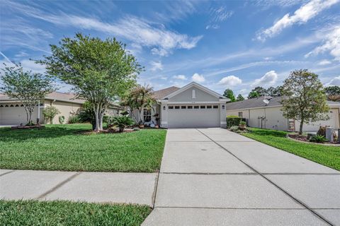 Photo of 3054 Banyan Hill Lane, Land O Lakes, FL 34639 (MLS # TB8495797)