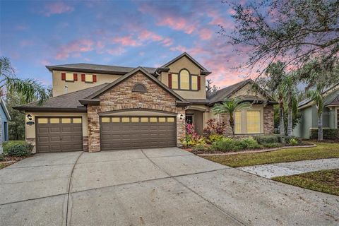 19116 SWEET CLOVER LANE TAMPA FL 33647