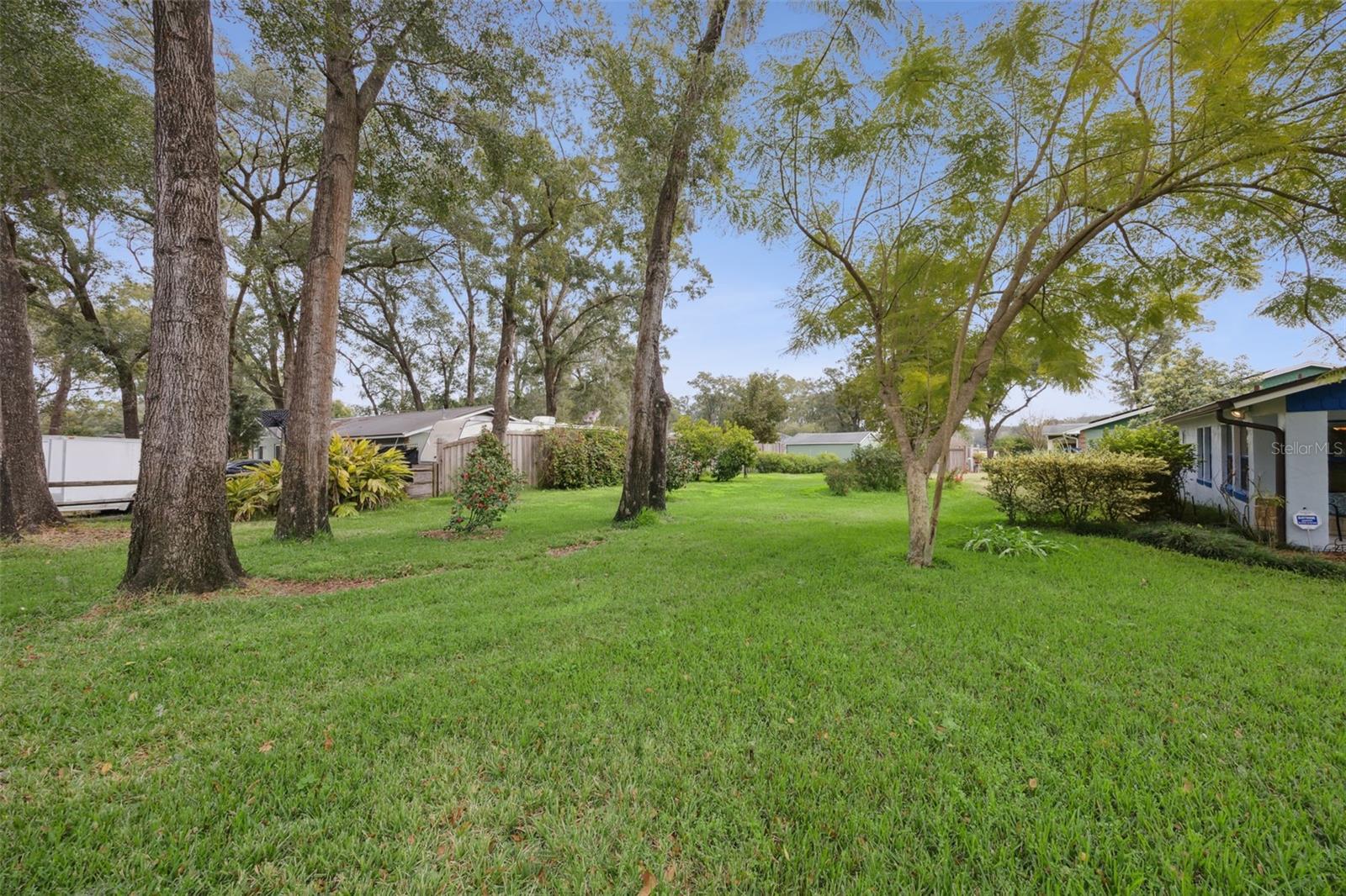 MOUNT PLYMOUTH - Residential