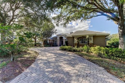 A home in TARPON SPRINGS