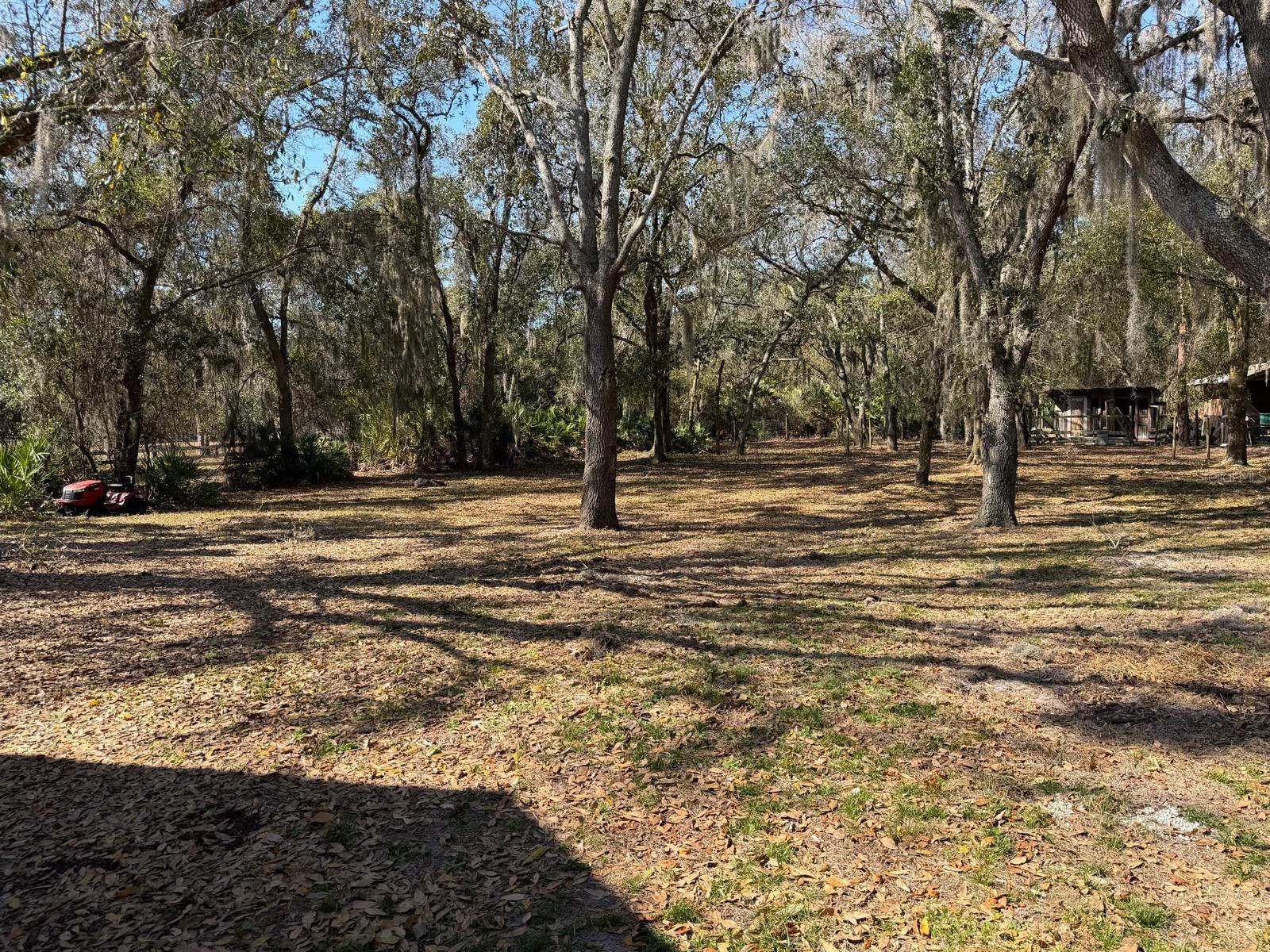 S L & I C - Residential Lease