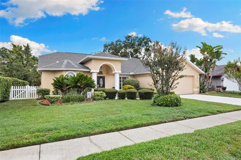 Photo of 3853 Sunrise Lane, Tarpon Springs, FL 34688 (MLS # TB8422035)