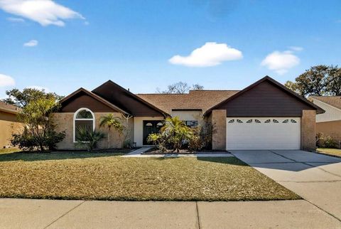 4207 SPRING WAY CIRCLE VALRICO FL 33596