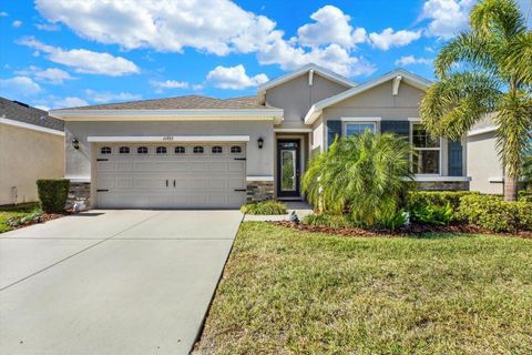 11935 CROSS VINE DRIVE RIVERVIEW FL 33579