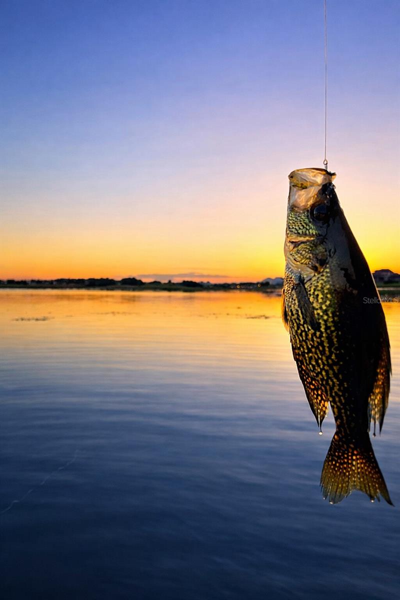 SIGNATURE LAKES PH 02 A B H I J - Residential