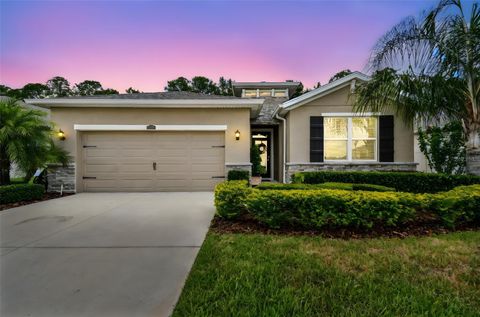 32825 SAND CREEK DRIVE WESLEY CHAPEL FL 33543