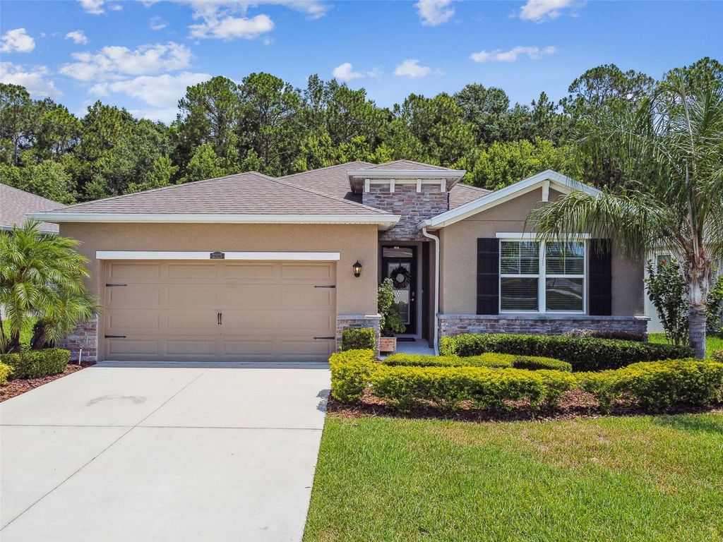 Photo of 32825 Sand Creek Drive, Wesley Chapel, FL 33543 (MLS # TB8390563)